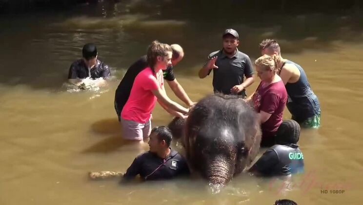 Unforgettable Day with Elena Koshka - Outdoor Fun and More!