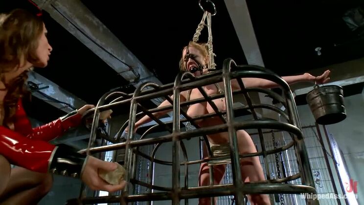 [WhippedAss] - Strap-on Anal: Ariel X Dominates Dee Williams in BDSM - Dee Williams - Ariel Carmine