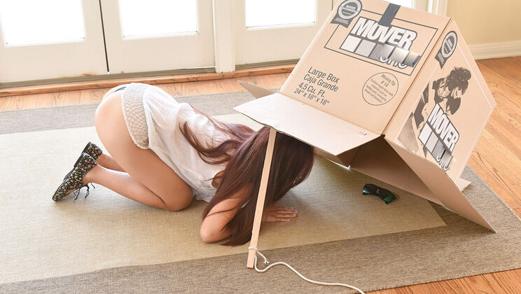 Thief Trapped - Elle Voneva