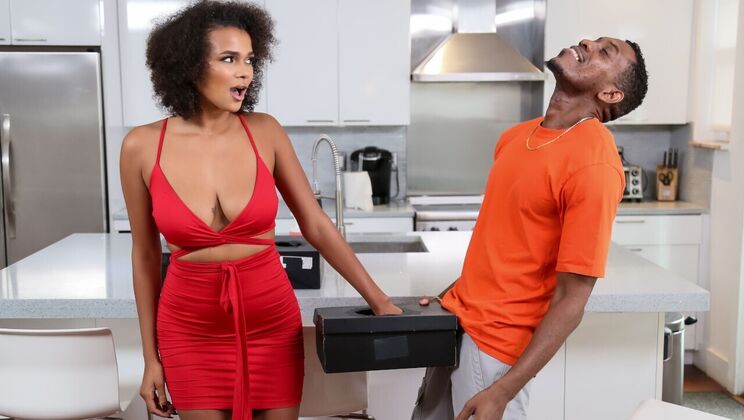 Cock in a Box Blowjob