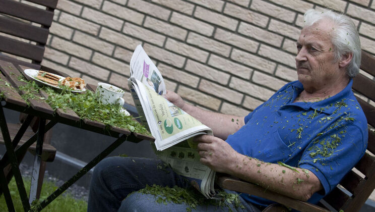 Gustavo's Nice Excuse