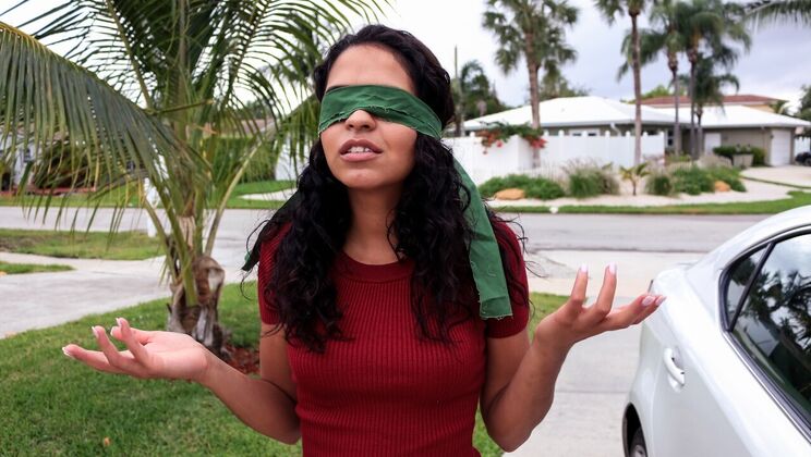 Vienna Black's Trimmed Pussy Gets Fucked